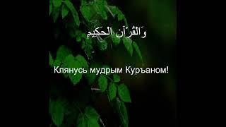 Коран Сура Ясин | 36:2  | Чтение Корана с русским переводом | Quran Translation in Russian