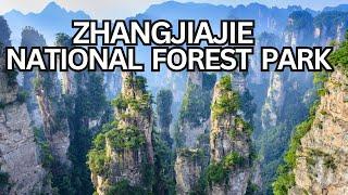 Exploring Zhangjiajie National Forest Park: A Natural Wonder of the World