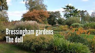 Bressingham gardens Norfolk