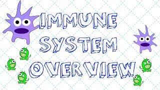 Immune System Overview for Nursing Students