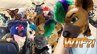 My 10 Craziest Furry Con Stories