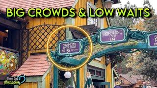 NEW Disneyland Update! Changes, Large Crowds, Reduced Waits, Construction & More!