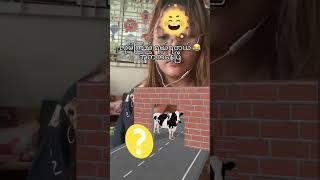 animal sounds #prikol #tiktok videos #trend