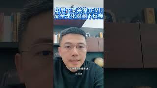 印尼下架关停TEMU，反全球化浪潮下反噬