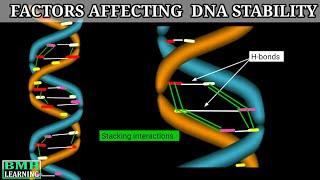 Factors Affecting DNA Stability | Stability Of DNA | DNA Denaturation |