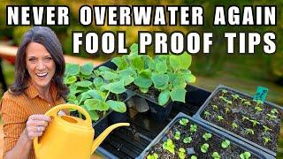 Never Overwater Again: Foolproof Tips for Watering Indoor Seedlings