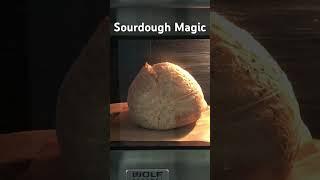 SourdoughBread baking magic  보고만있어도 힐링됨 #shorts #sourdough