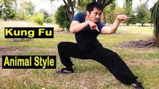 Kung Fu Animal Style With Stances Training