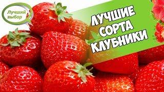 Обзор семян КЛУБНИКА - Лучшие сорта клубники которые не нужно пересаживать 8 лет 