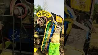 Harvesting Sesemed ( Tilli ) || Machine with Tractor || Desi style || Hadi mian Tv