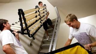 Move-In Day | University of St. Thomas