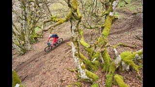 Auvergne, paradis de singles !