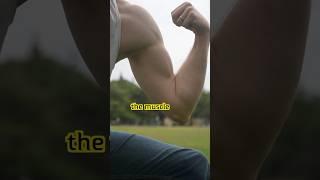 Visible vs Usable Biceps #stayflexy