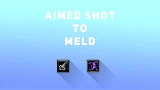 Wow lua script: "Aimed Shot" (hunt) to "Meld' (druid) | alexdubovyckvideos