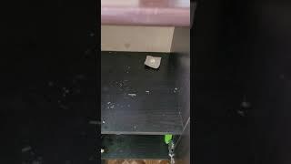 Уничтожение тараканов в Красноярске.