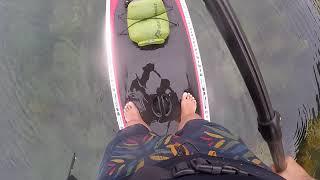 SUP HK Marine Life TT