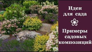  Идеи для сада. Примеры садовых композиций | Ideas for the garden. Examples of garden compositions