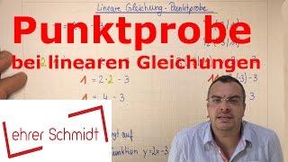 Punktprobe bei lineare Gleichungen | Terme und Gleichungen | Mathematik