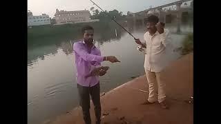 kolshi fish Black ruhu catch | मोठ्या सायझ चा रुहु मासा पकडला | MP fishing aurwad