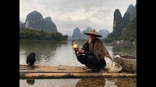 Li River Cormorant Fishing