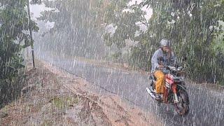 SUPER HEAVY RAIN AND STRONG WIND IN THE INDONESIAN RURAL VILLAGE | WALKING IN HEAVY RAIN