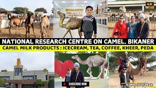 National Camel Research Centre Bikaner | Bikaner Camel Farm | Camel Milk Products | Camel Museum