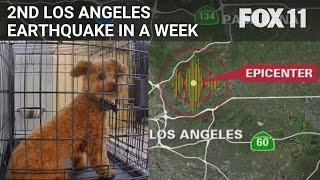 Dog wakes up from 4.4-mag Los Angeles earthquake