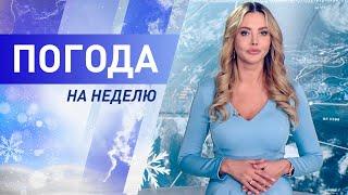 Погода на неделю 13 -19 декабря 2021. Прогноз погоды. Беларусь | Метеогид