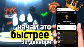 ЖДЕМ Листинг PAWS 30 декабря? Когда листинг и airdrop в проекте павс - Как заработать в PAWS тапалка