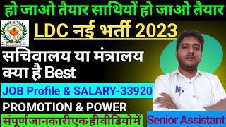 Rsmssb LDC new vacancy#JuniorAssistant Notification #ldc2023  | Syllabus | Salary | Promotion |