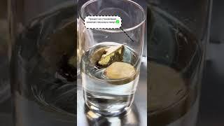 Восстановление сублимированных грибов #shorts #short #shortvideo #продукты #грибы #сублимация