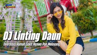 DJ LINTING DAUN - OVERDOSIS RUMAH SAKIT NYAWA PUN MELAYANG VIRAL TIKTOK JEDAG JEDUG FULL BASS 2022