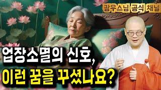 업장소멸의 징조, 어떤 꿈들이 있을까요? | 광우스님의 지장경이야기6회