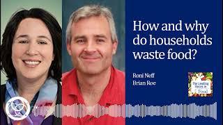 How and why do households waste food?