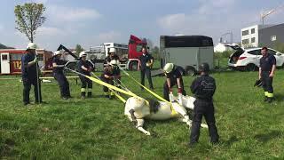 Workshop Großtierrettung Main-Taunus-Kreis Kelkheim