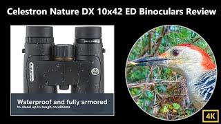 Celestron Nature DX ED 10x42 Binoculars Review