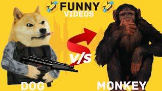 FUNNY Animals Cats and Dog MONEY Video Part 3 l M S family