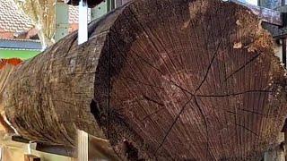 Sawmill Refuses to Cut It || The Hardest Wood In The World