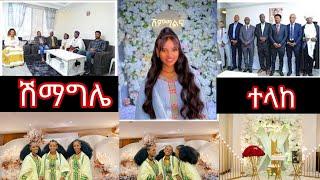 ሽምግልና  tsge royal  dani royal  abresh tube ruta tube