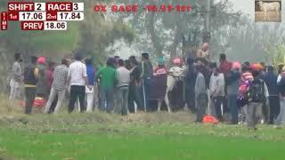 ox race punjab 16.91 sec  ox race haryana win  बैलदौड़ ox race 1st winner new punjabi songs 2020