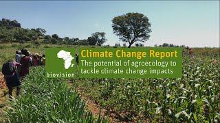 Climate Change Report: The potential of agroecology to tackle climate change