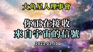 你正在接收來自宇宙的信號《大角星人理事會》你正在被幫助，正在被顯示這些跡象。它們是可以被你完美解讀的標誌。你生活在一個非常有序的宇宙中，這就是你的宇宙