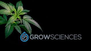 Discover Elite Craft Cannabis & Rosin Cartridges by Grow Sciences in Arizona's Recreational Era