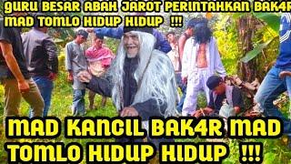 BANG REY LAMPUNG || ABAH JAROT PERINTAHKAN MAD KANCIL BAK4R MAD TOMLO HIDUP HIDUP  !!!