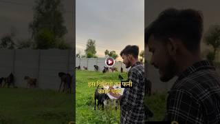 When Video Reach Wrong Audience Pt 16 | Instagram Funny Comments | Komal | #shorts