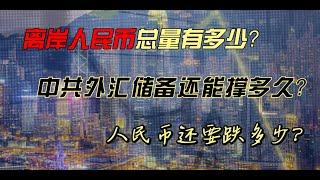 離岸人民幣到底總量規模有多大？中共可動用的維持利率穩定的外匯儲備有多少？什麼會是壓死人民幣匯率的最後一個“肥豬”！人民幣的長期匯價能看到哪裡？