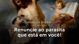 Homilia Diária | Renuncie ao parasita que está em você! (Sexta-feira da 6ª Semana do Tempo Comum)