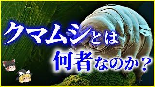 【ゆっくり解説】何故最強と言われる？「クマムシ」とは何者なのかを解説/放射能・真空・高温・低温でも死なない？緩歩動物とは？