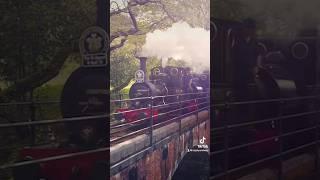 Double heading across the Viaduct! #Railway #Talyllyn #Wales #SteamTrain #Trainspotting #Snowdonia