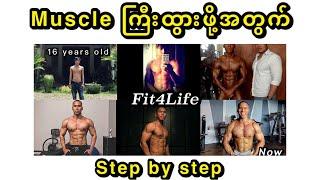 သိပ္ပံနည်းကျ Muscle တည်ဆောက်နည်း Step by step